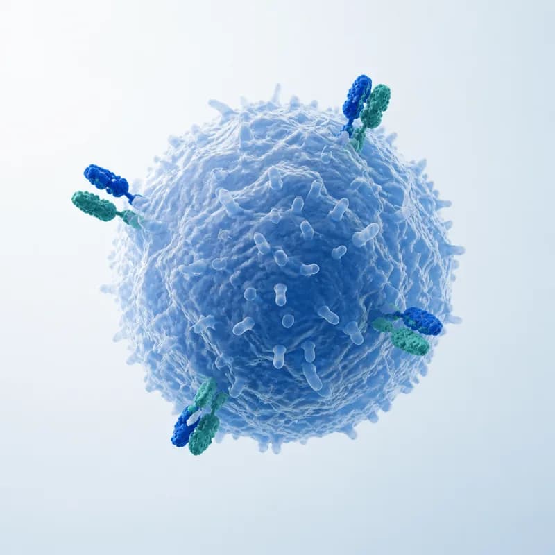 CAR-T / TCR-T research