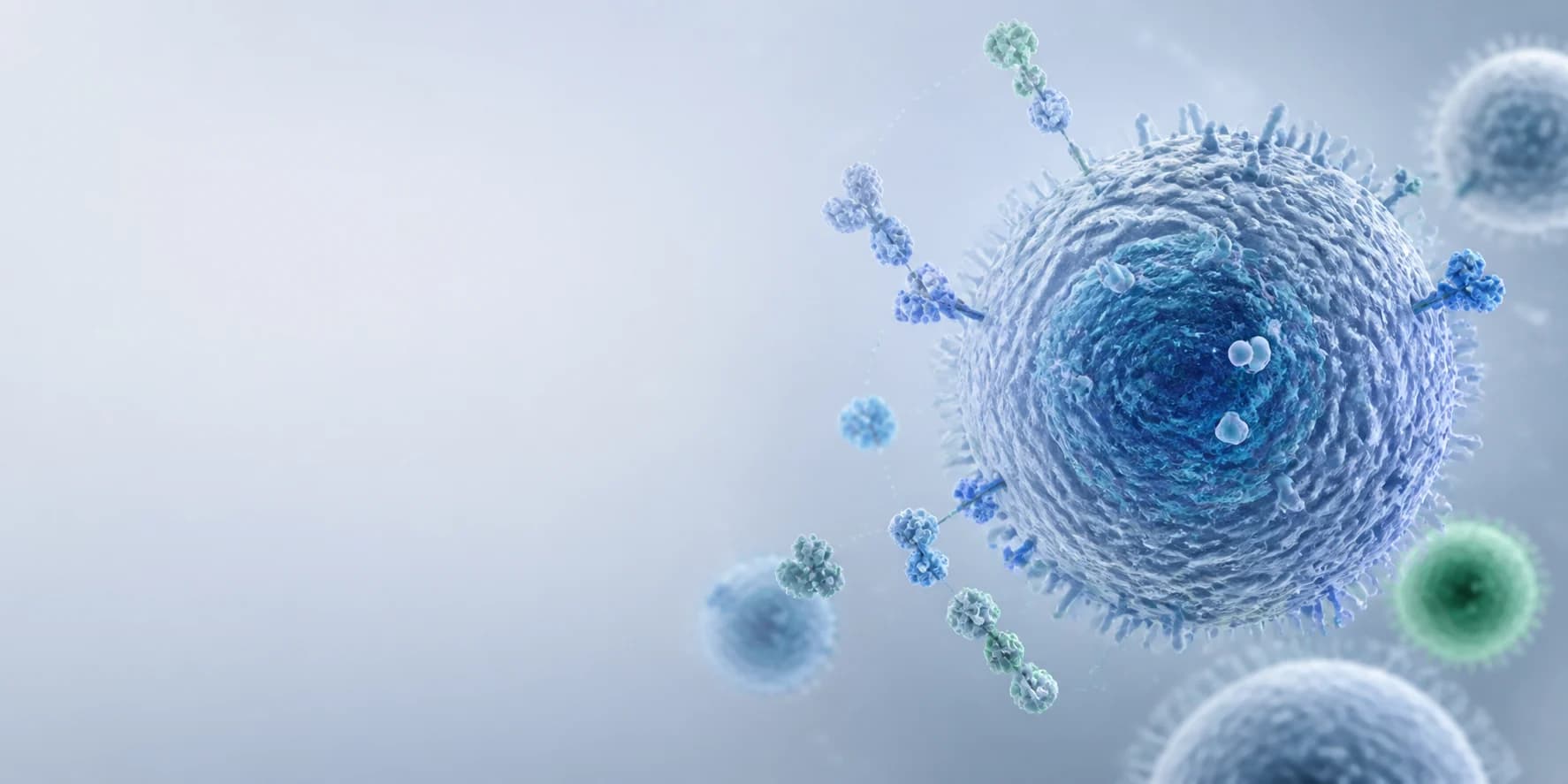 Immune cell and cytokine signaling in an inflammatory microenvironment