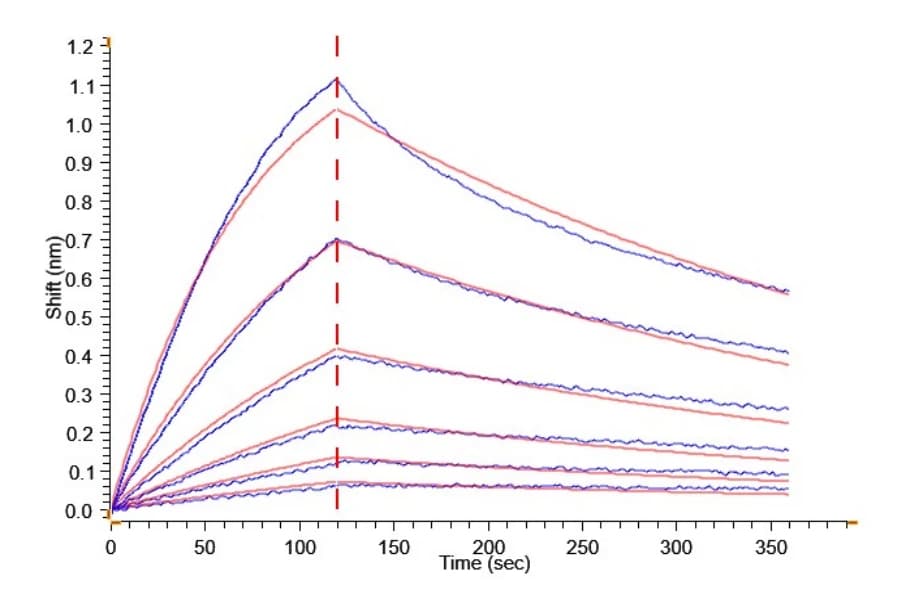 BLI Data