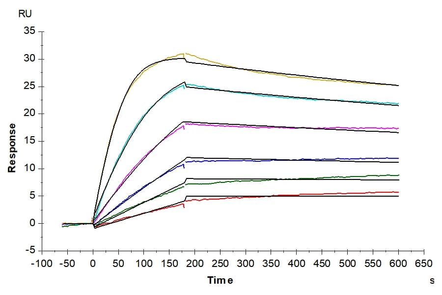 SPR Data