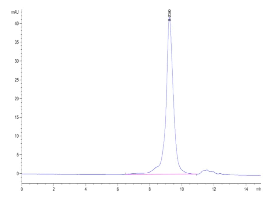 SEC-HPLC Data