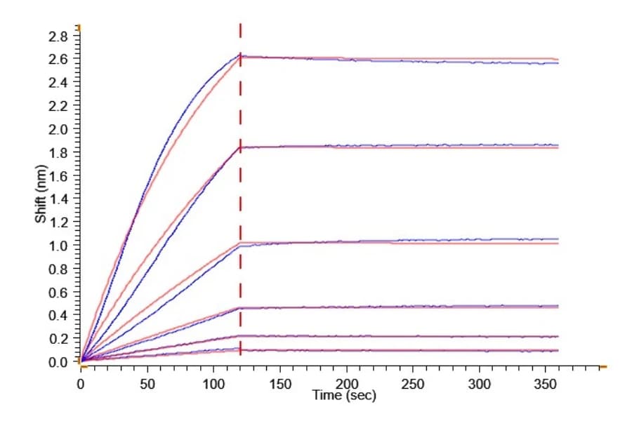 BLI Data
