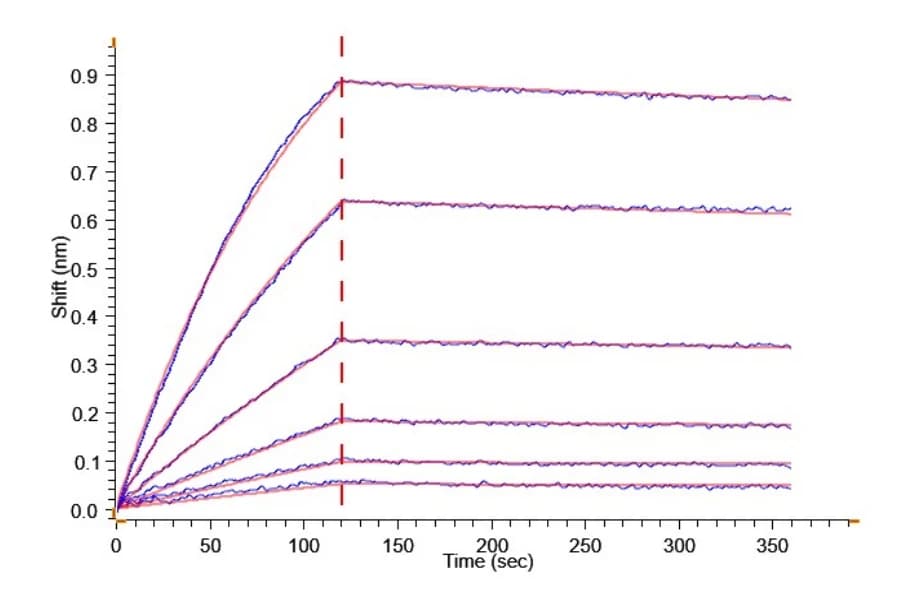 BLI Data