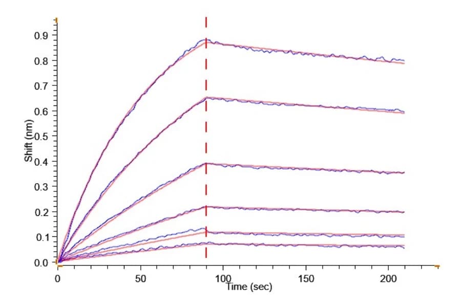 BLI Data