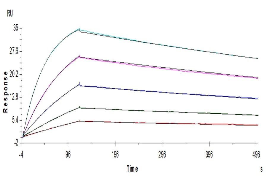 SPR Data