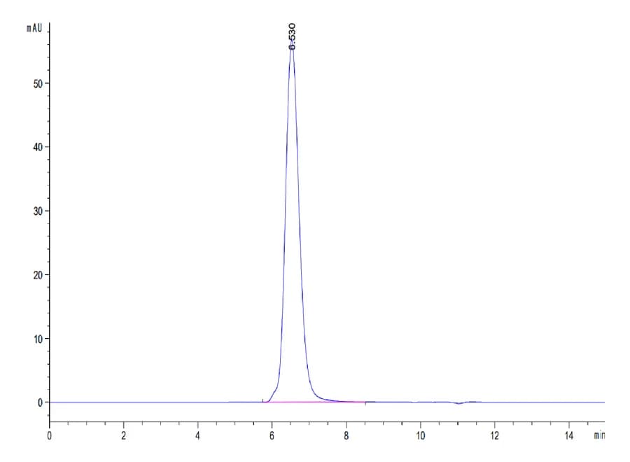 SEC-HPLC Data