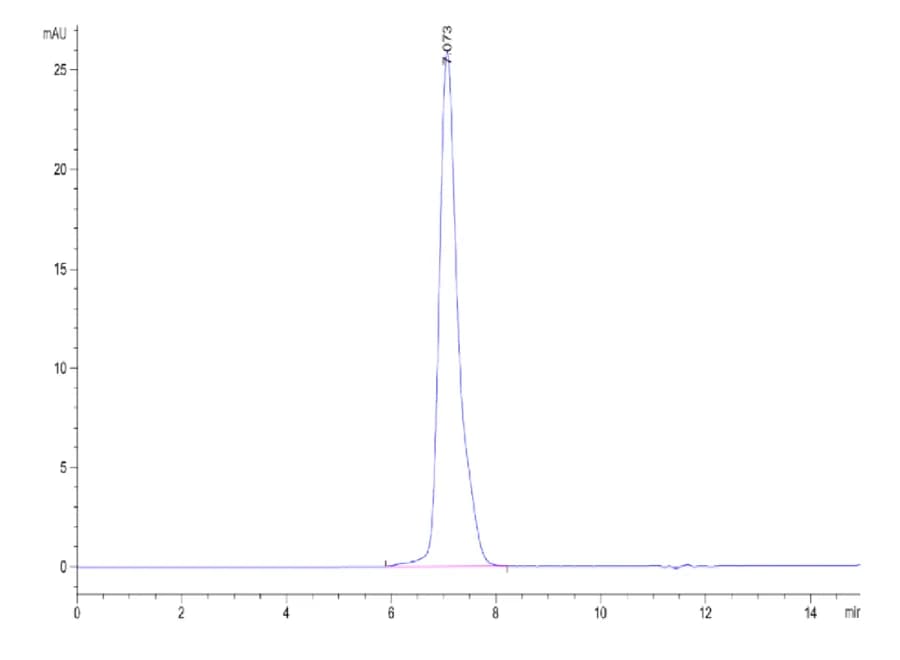 SEC-HPLC Data