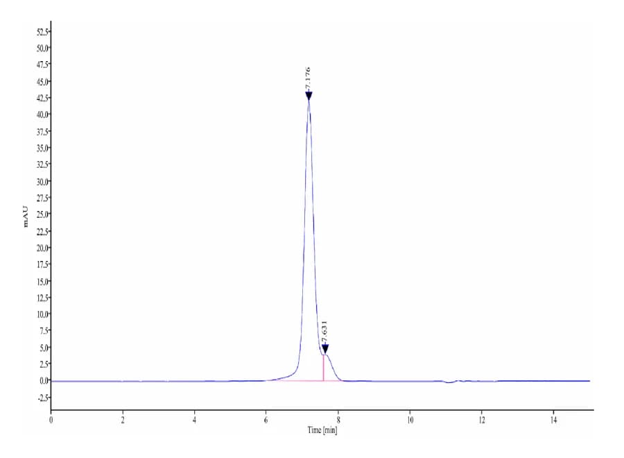 SEC-HPLC Data