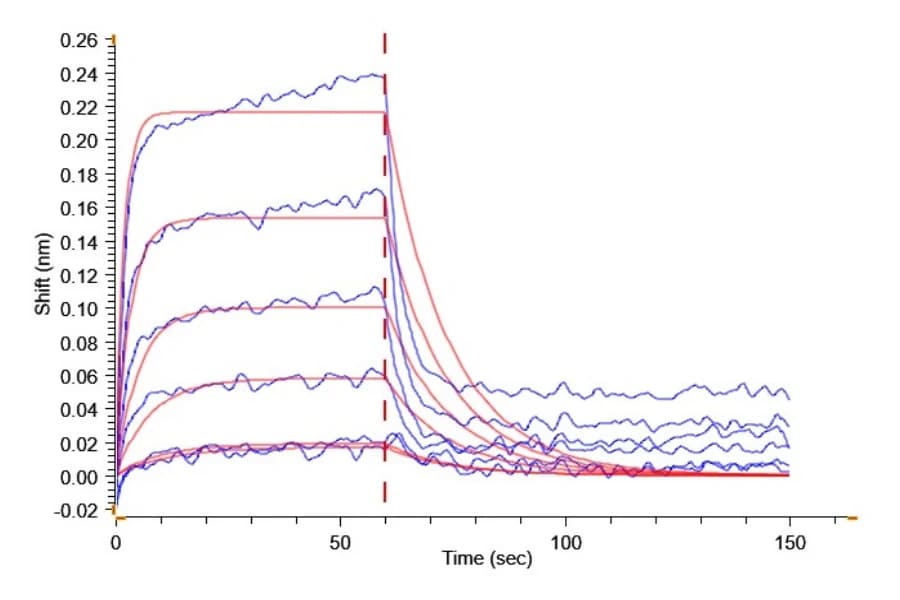 BLI Data