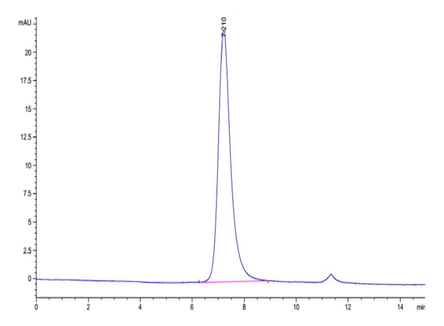 SEC-HPLC Data