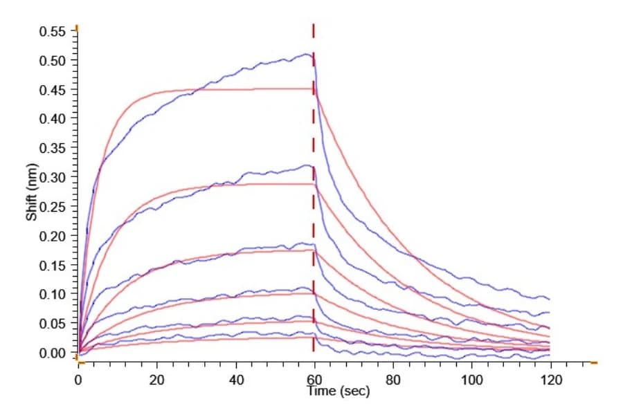 BLI Data