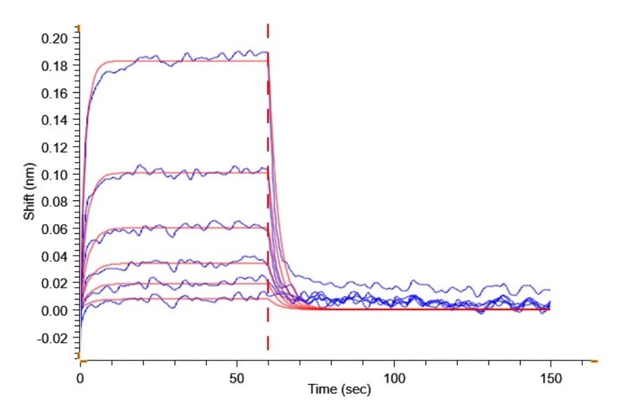 BLI Data