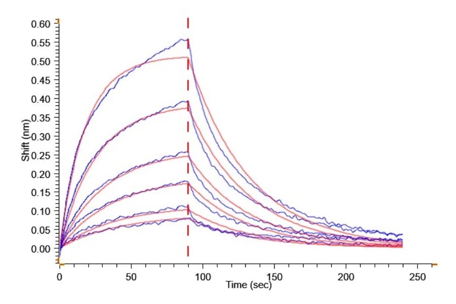 BLI Data
