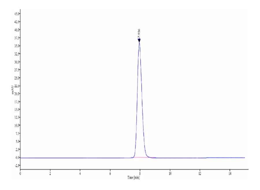 SEC-HPLC Data