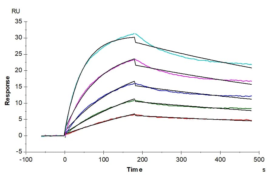 SPR Data