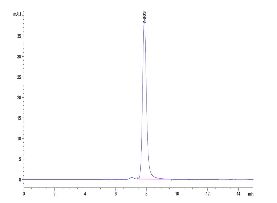 SEC-HPLC Data