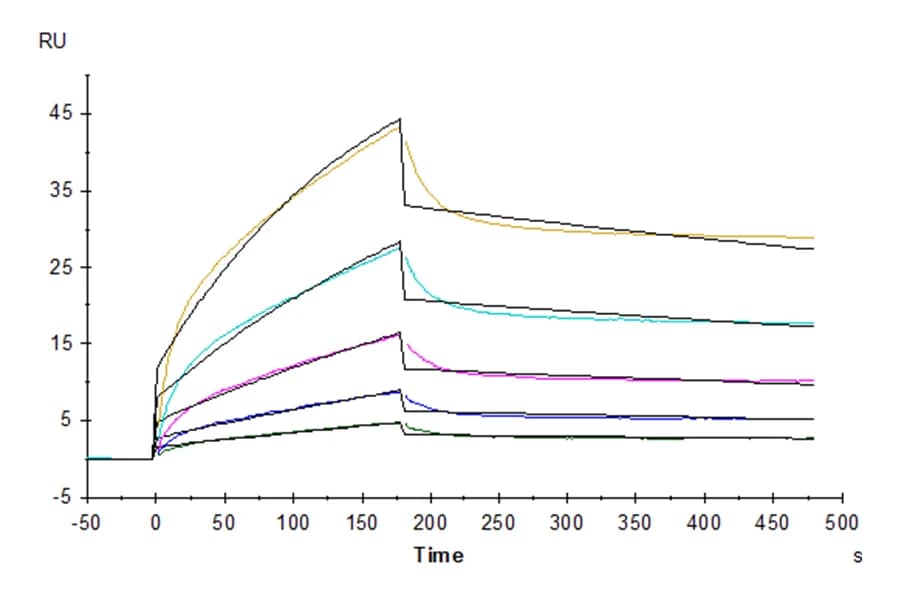 SPR Data