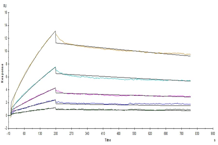 SPR Data