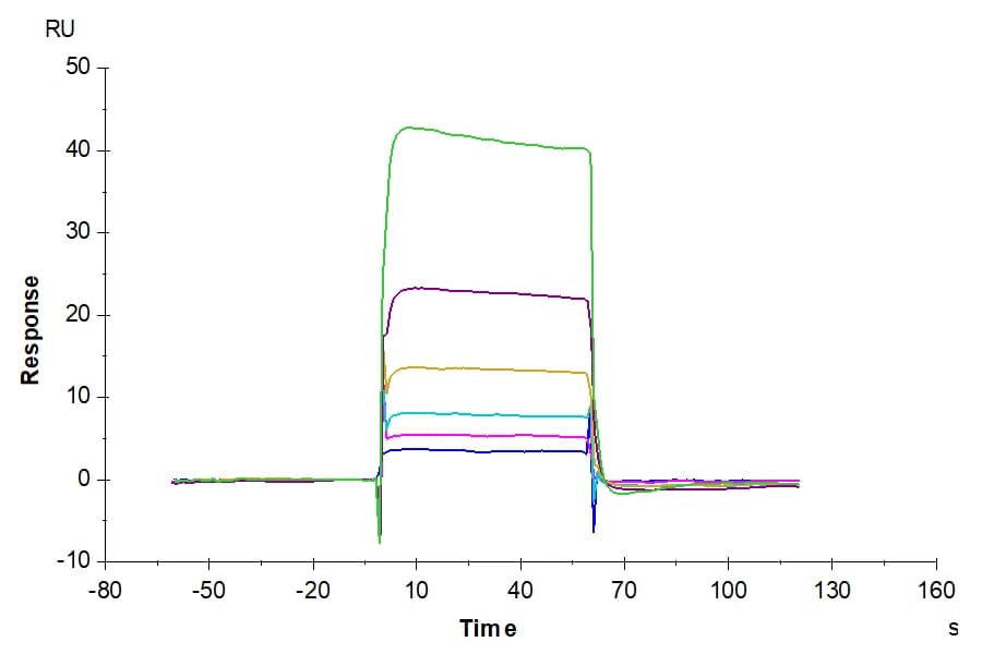 SPR Data