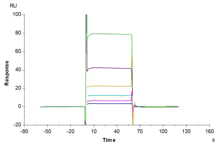 SPR Data
