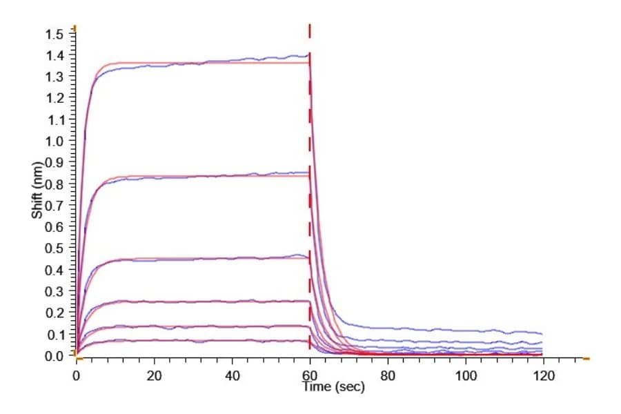 BLI Data