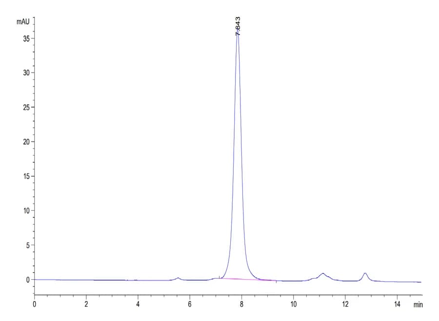 SEC-HPLC Data