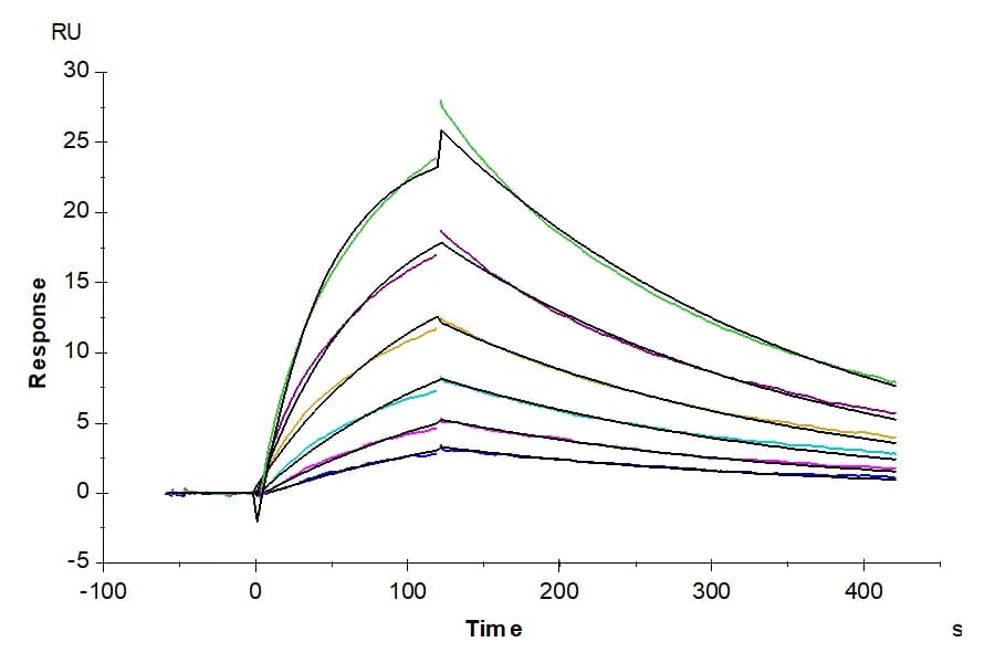 SPR Data