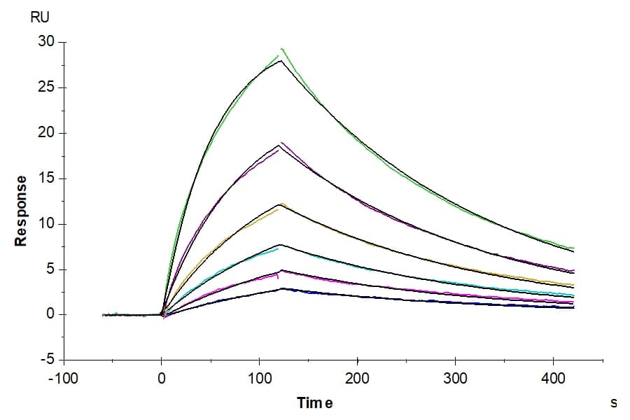 SPR Data