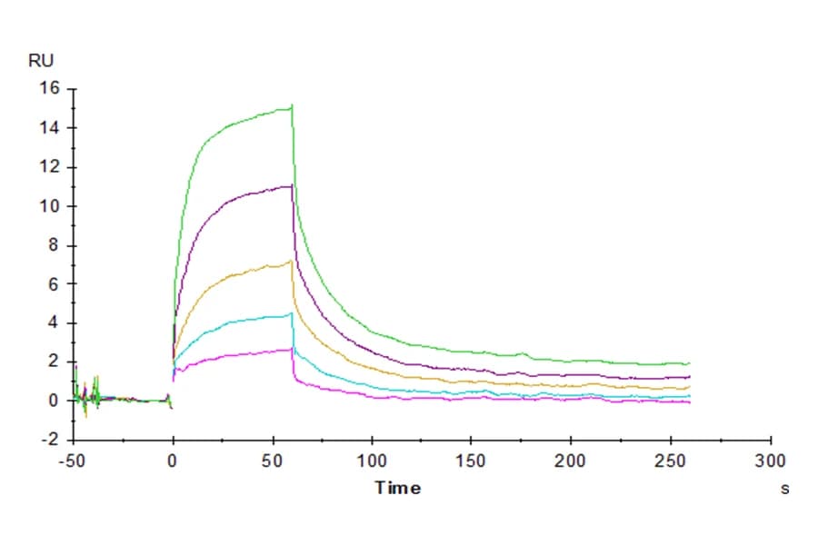 SPR Data