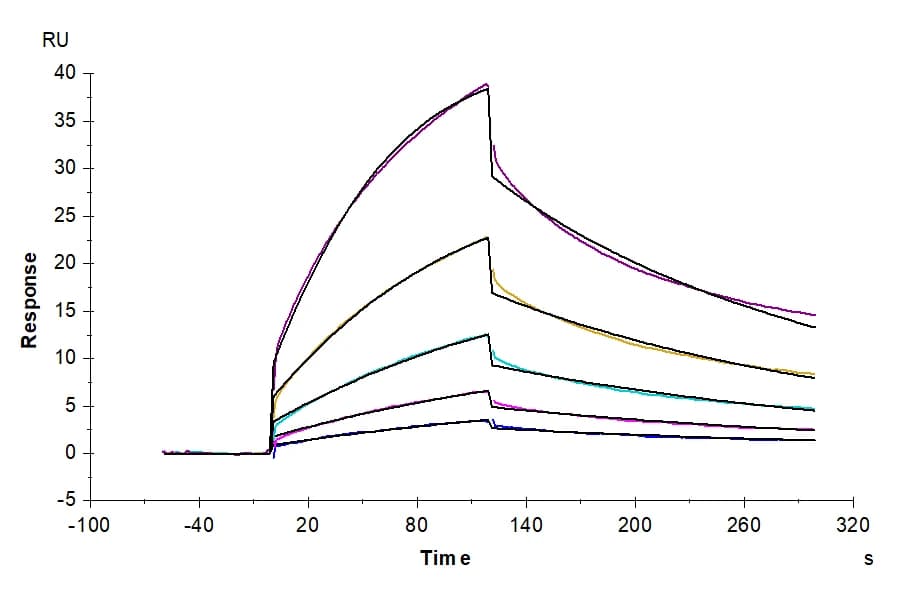 SPR Data