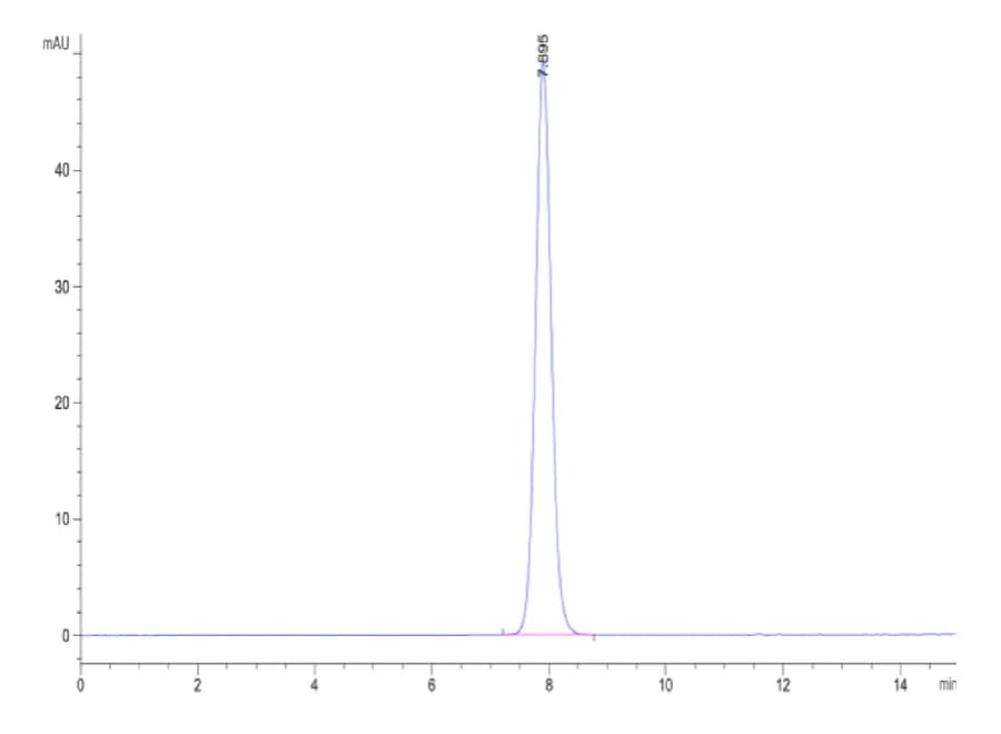 SEC-HPLC Data
