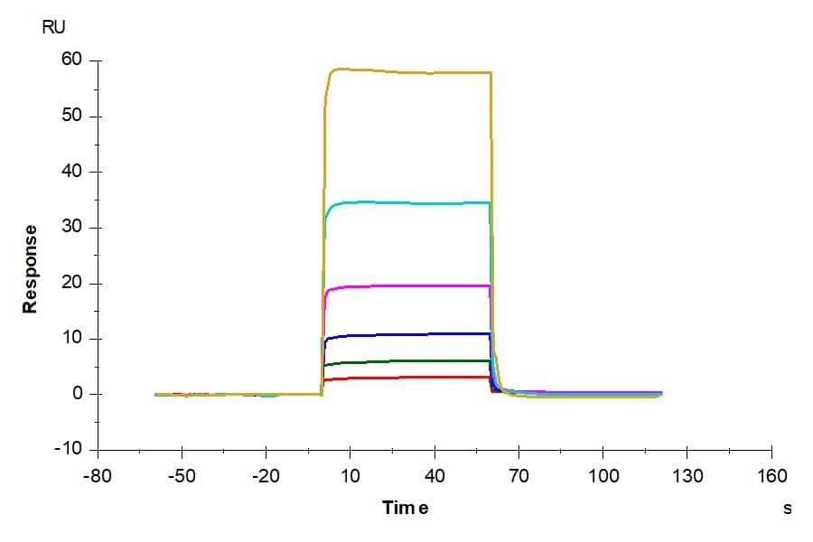 SPR Data