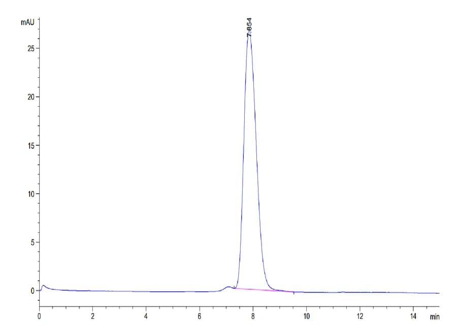 SEC-HPLC Data