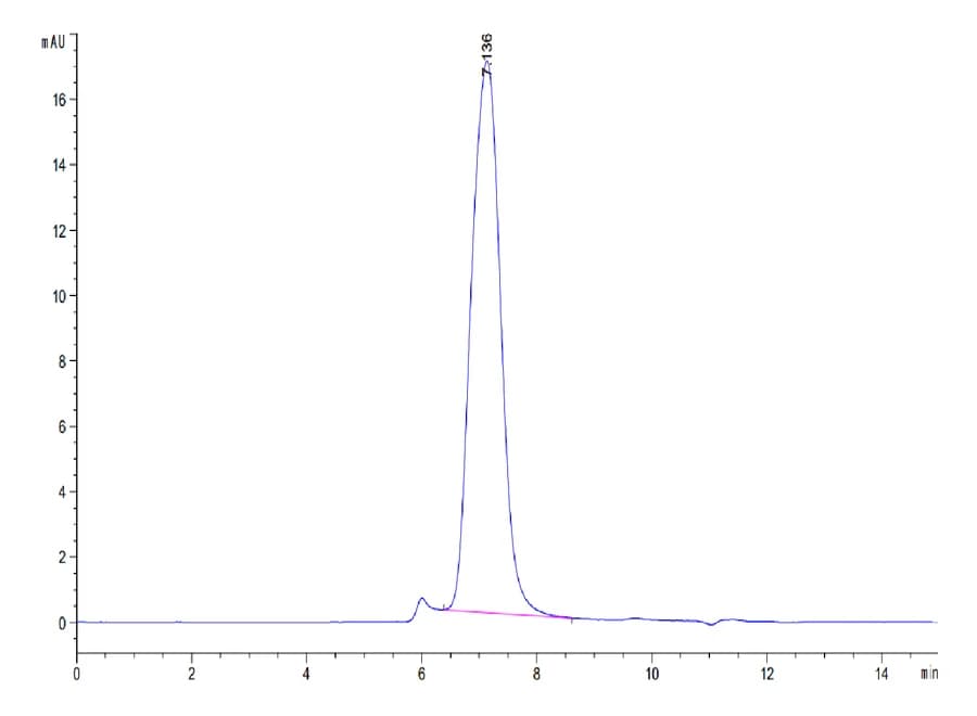 SEC-HPLC Data