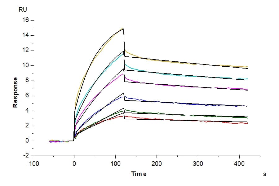 SPR Data