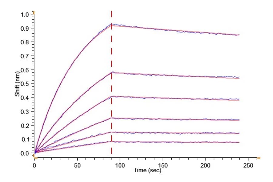 BLI Data