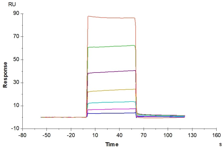 SPR Data