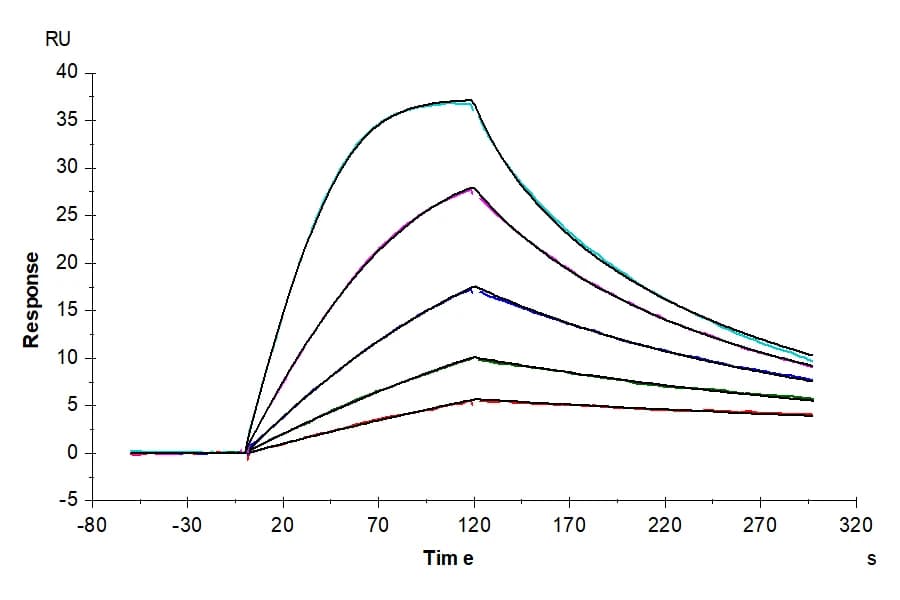 SPR Data