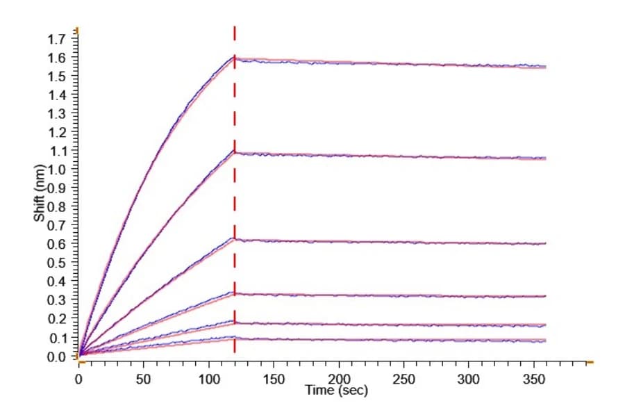 BLI Data