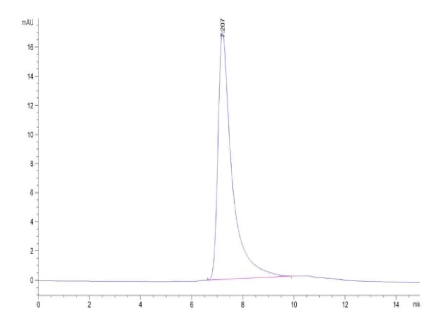 SEC-HPLC Data