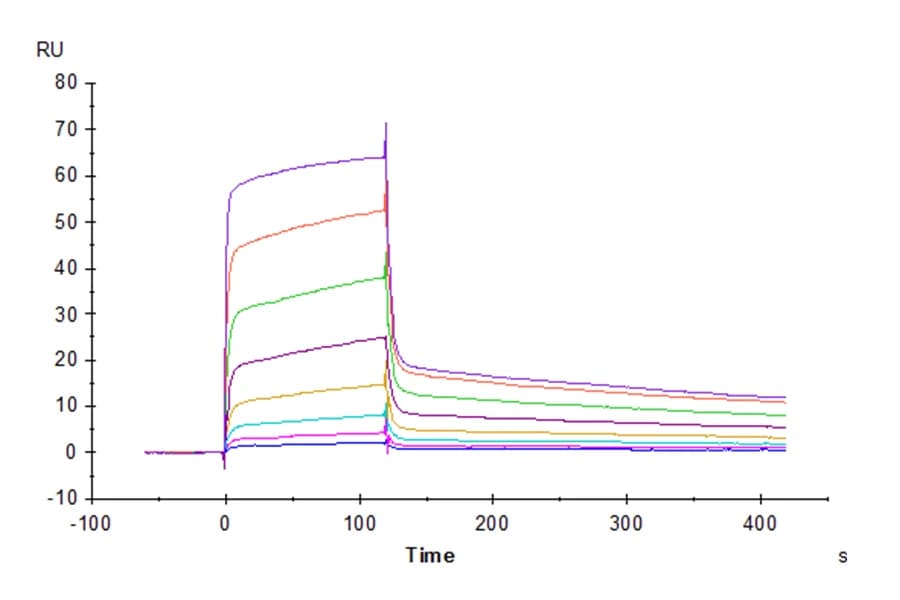 SPR Data