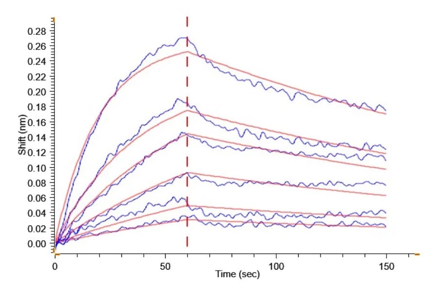 BLI Data