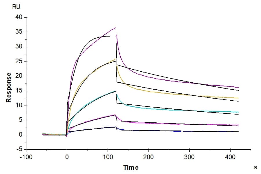 SPR Data