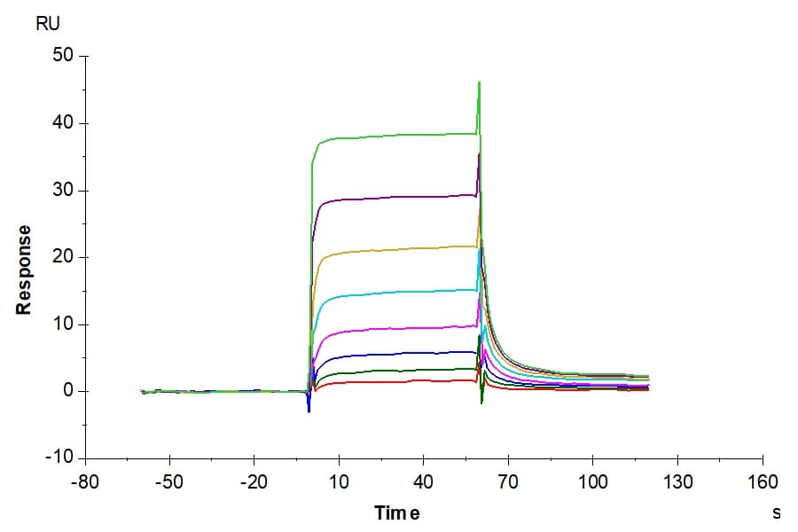 SPR Data