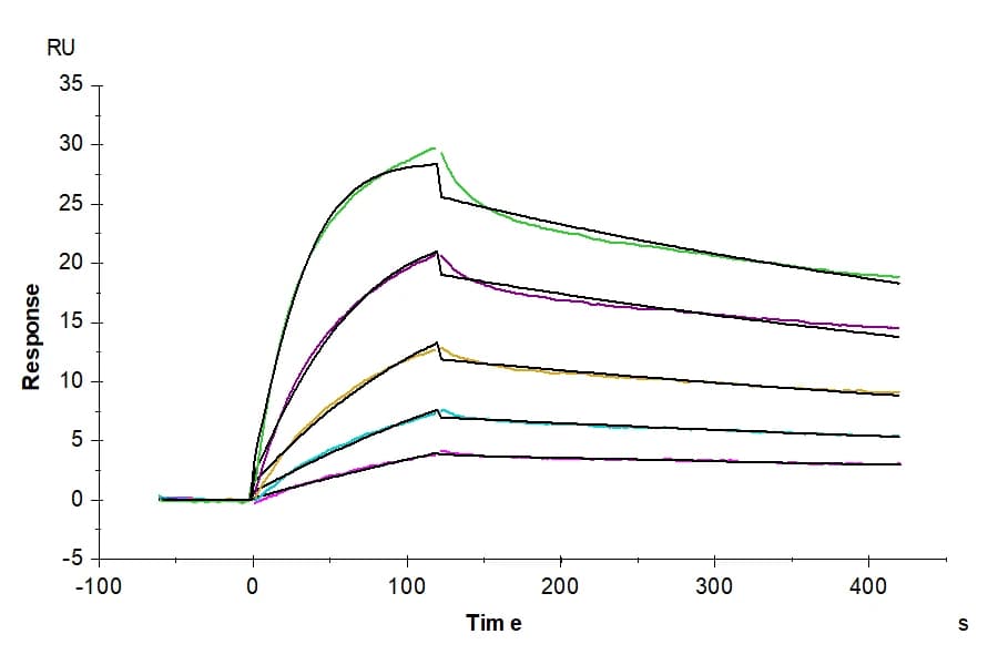 SPR Data