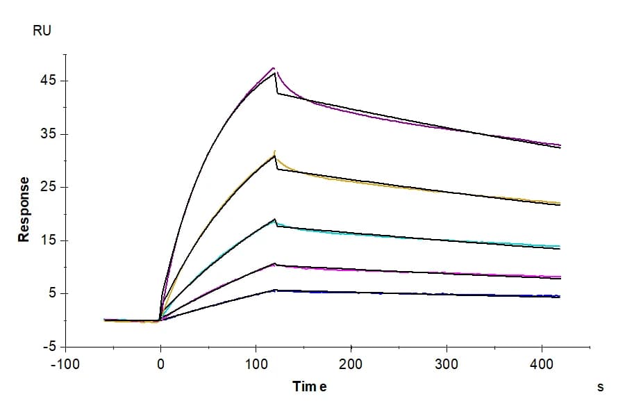 SPR Data