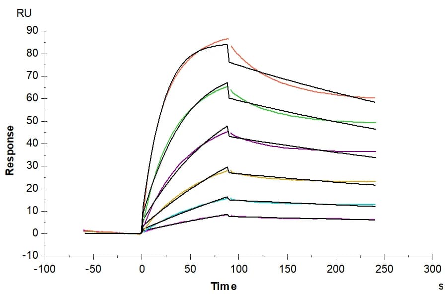 SPR Data