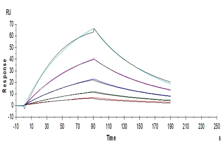 SPR Data