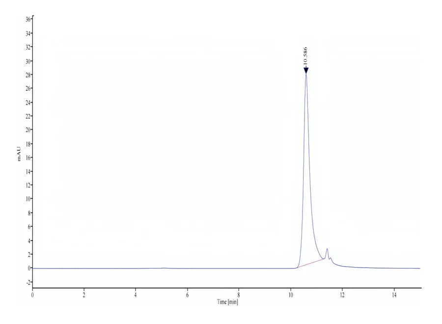 SEC-HPLC Data