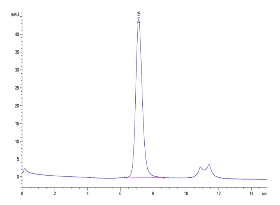 SEC-HPLC Data